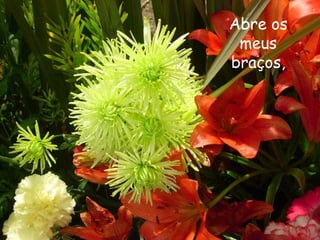 Abre os
 meus
braços,
 