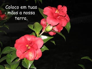 Coloco em tuas
 mãos a nossa
    terra,
 