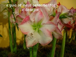 e guia os meus pensamentos
         e desejos,
 