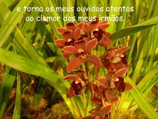 e torna os meus ouvidos atentos
   ao clamor dos meus irmãos.
 