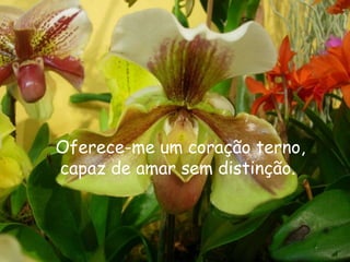 Oferece-me um coração terno,
capaz de amar sem distinção.
 