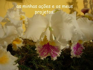 as minhas ações e os meus
        projetos.
 