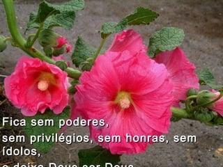 Fica sem poderes,  sem privilégios, sem honras, sem ídolos,  e deixa Deus ser Deus.                                 