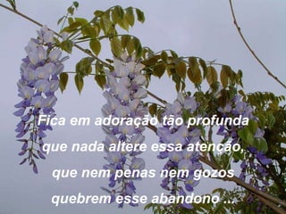 Fica em adoração tão profund a que nada altere essa atenção, que nem penas nem gozos quebrem esse abandono ... 