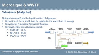 Dipartimento di Ingegneria Civile e Ambientale
Side-stream (sludge line)
Nutrient removal from the liquid fraction of dige...