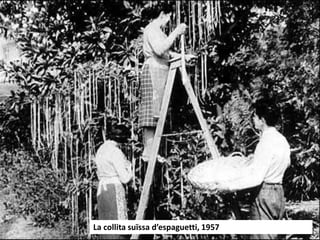 La collita suïssa d’espaguetti, 1957
 