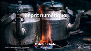 esprit numérique
Sylvain Carle
Forum des innovations culturelles Avril 2018
 