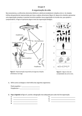 Grupo II
A organização da vida
Nos ecossistemas, os diferentes elementos (bióticos e abióticos) estabelecem relações entre si. As relações
tróficas são geralmente representadas por teias e cadeias alimentares (figura 3). Apesar de a biosfera apresentar
uma organização complexa, é possível encontrar padrões nessa organização no mundo vivo, que ajudam a
compreendê-lo. A figura 4 apresenta alguns níveis de organização biológica.
1. Refira como se designa o nível trófico dos seguintes organismos:
Planta aquática – ________________________
Fitoplâncton – __________________________
2. Faça a legenda da figura 4, usando a designação mais adequada para cada nível de organização.
1. ________________________________
2. ________________________________
3. ________________________________
4. ________________________________
5. ________________________________
6. ________________________________
7. ________________________________
Figura 3 – Representação esquemática de algumas relações
alimentares num lago.
Figura 4 – Alguns níveis de
complexidade dos seres vivos.
1
6
5
4
3
2
7
 