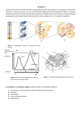 Grupo III
Desde as bactérias até às células altamente especializadas dos seres pluricelulares mais complexos, encontram-se
elementos e processos comuns. É o caso da catálise das reações químicas do metabolismo celular. As enzimas,
proteínas que ocorrem em todo o tipo de células, facilitam as reações químicas, diminuindo a energia de ativação,
necessária para desencadear todos os processos vitais. Analise as figuras 5, 6 e 7 e responda às questões.
Nas questões 1 a 6, selecione a opção que permite obter uma afirmação verdadeira.
1. Os monómeros que constituem as grandes moléculas das enzimas são...
A. proteínas.
B. aminoácidos.
C. oses ou monossacarídeos.
D. ácidos gordos.
Figura 5 – Organização molecular e estrutural de uma
enzima.
Figura 6 – Diferenças na velocidade de atuação de
duas enzimas em função do pH.
Figura 7 – Representação esquemática de uma célula.
pH
Retículo
endoplasmático
liso
DNA
Núcleo
Nucléolo
C
Ribossomas
Vilosidades
B
A
Centríolo
Lisossoma
I III
II IV
 
