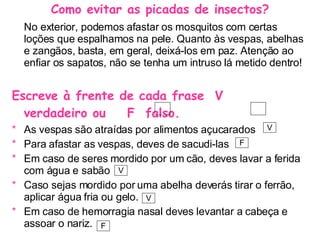 Como evitar as picadas de insectos? No exterior, podemos afastar os mosquitos com certas loções que espalhamos na pele. Quanto às vespas, abelhas e zangãos, basta, em geral, deixá-los em paz. Atenção ao enfiar os sapatos, não se tenha um intruso lá metido dentro!  Escreve à frente de cada frase  V  verdadeiro ou  F  falso. As vespas são atraídas por alimentos açucarados Para afastar as vespas, deves de sacudi-las Em caso de seres mordido por um cão, deves lavar a ferida com água e sabão  Caso sejas mordido por uma abelha deverás tirar o ferrão, aplicar água fria ou gelo. Em caso de hemorragia nasal deves levantar a cabeça e assoar o nariz. V F V V F 