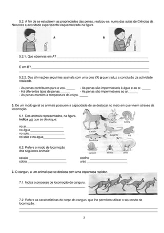 3
5.2. A fim de se estudarem as propriedades das penas, realizou-se, numa das aulas de Ciências da
Natureza a actividade experimental esquematizada na figura.
5.2.1. Que observas em A? ______________________________________________________
_____________________________________________________________________________
E em B?______________________________________________________________________
_____________________________________________________________________________
5.2.2. Das afirmações seguintes assinala com uma cruz (X) a que traduz a conclusão da actividade
realizada.
- As penas contribuem para o voo. _____ - As penas são impermeáveis à água e ao ar. _____
- Há diferentes tipos de penas. _____ - As penas são impermeáveis ao ar. _____
- As penas mantêm a temperatura do corpo. _____
6. De um modo geral os animais possuem a capacidade de se deslocar no meio em que vivem através da
locomoção.
6.1. Dos animais representados, na figura,
indica um que se desloque:
no ar______________________
na água____________________
no solo_____________________
no solo e na água_____________
6.2. Refere o modo de locomoção
dos seguintes animais:
cavalo ______________________ coelho ______________________
cobra _______________________ urso ________________________
7. O canguru é um animal que se desloca com uma espantosa rapidez.
7.1. Indica o processo de locomoção do canguru.
_______________________________________
7.2. Refere as características do corpo do canguru que lhe permitem utilizar o seu modo de
locomoção.
__________________________________________________________________________________
__________________________________________________________________________________
A B
 