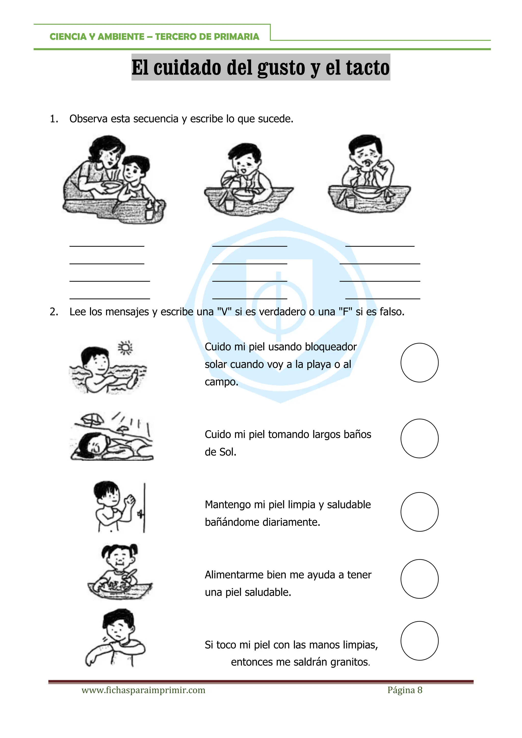 Los 5 Sentidos Para Tercero De Primaria Fichas Para Imprimir