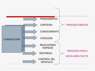 CONDUCCIÓN PENSAMIENTO ATENCIÓN CORTESIA CONOCIMIENTO PROCESO MENTAL PROCESO FISICO REACCIONES RAPIDAS DESTREZA CONTROL DEL VEHICULO VISTA-OIDO-TACTO 
