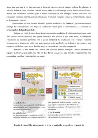 Ficha De Trab Mendel