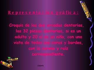 Representación gráfica: Croquis de las dos arcadas dentarias, las 32 piezas dentarias, si es un adulto y 20 si es un niño, con una vista de todas sus caras y bordes, con la corona y raíz correspondiente. 