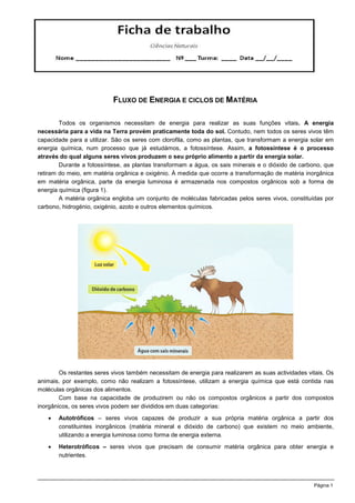 FLUXO DE ENERGIA E CICLOS DE MATÉRIA

        Todos os organismos necessitam de energia para realizar as suas funções vita...