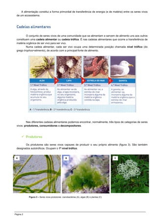 A alimentação constitui a forma primordial de transferência de energia (e de matéria) entre os seres vivos
 de um ecossist...
