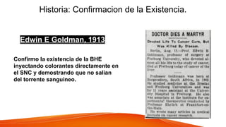 Barrera hematoencefalica irrigación cerebral | PPTX