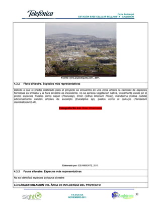 Ficha Ambiental
ESTACIÓN BASE CELULAR BELLAVISTA - CALDERÓN

Fuente: www.joyasdequito.com , 2011.

4.3.2

Flora silvestre. Especies más representativas

Debido a que el predio destinado para el proyecto se encuentra en una zona urbana la cantidad de especies
florísticas es limitada y la flora silvestre es inexistente, no se aprecia vegetación nativa, únicamente existe en el
predio especies frutales como capulí (Prunussp), limón (Citrus limonum Risso), mandarina (Citrus nobilis)
adicionalmente existen árboles de eucalipto (Eucaliptus sp), pastos como el quikuyo (Penisetum
clandestonium),etc.
Fotografía No 4-2. Área Urbanizada

Elaborado por: IDEAMBIENTE, 2011.

4.3.3

Fauna silvestre. Especies más representativas

No se identificó especies de fauna silvestre
4.4 CARACTERIZACIÓN DEL ÁREA DE INFLUENCIA DEL PROYECTO

FA-0120-SA
NOVIEMBRE-2011

31

 