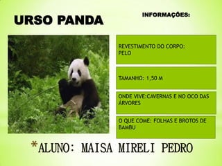URSO PANDA

INFORMAÇÕES:

REVESTIMENTO DO CORPO:
PELO

TAMANHO: 1,50 M

ONDE VIVE:CAVERNAS E NO OCO DAS
ÁRVORES
O QUE COME: FOLHAS E BROTOS DE
BAMBU

 