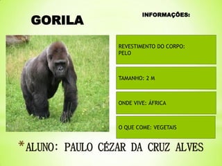 GORILA

INFORMAÇÕES:

REVESTIMENTO DO CORPO:
PELO

TAMANHO: 2 M

ONDE VIVE: ÁFRICA

O QUE COME: VEGETAIS

 