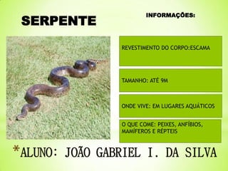 SERPENTE

INFORMAÇÕES:

REVESTIMENTO DO CORPO:ESCAMA

TAMANHO: ATÉ 9M

ONDE VIVE: EM LUGARES AQUÁTICOS

O QUE COME: PEIXES, ANFÍBIOS,
MAMÍFEROS E RÉPTEIS

 