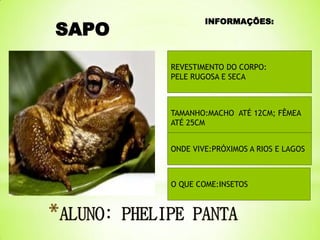 SAPO

INFORMAÇÕES:

REVESTIMENTO DO CORPO:
PELE RUGOSA E SECA

TAMANHO:MACHO ATÉ 12CM; FÊMEA
ATÉ 25CM
ONDE VIVE:PRÓXIMOS A RIOS E LAGOS

O QUE COME:INSETOS

 