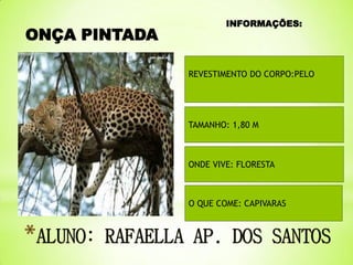ONÇA PINTADA

INFORMAÇÕES:

REVESTIMENTO DO CORPO:PELO

TAMANHO: 1,80 M

ONDE VIVE: FLORESTA

O QUE COME: CAPIVARAS

 