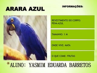 ARARA AZUL

INFORMAÇÕES:

REVESTIMENTO DO CORPO:
PENA AZUL

TAMANHO: 1 M

ONDE VIVE: MATA

O QUE COME: FRUTAS

 