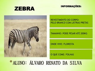 ZEBRA

INFORMAÇÕES:

REVESTIMENTO DO CORPO:
PELO BRANCO COM LISTRAS PRETAS

TAMANHO: PODE PESAR ATÉ 200KG

ONDE VIVE: FLORESTA

O QUE COME: FOLHAS

 