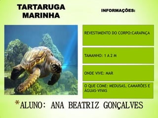 TARTARUGA
MARINHA

INFORMAÇÕES:

REVESTIMENTO DO CORPO:CARAPAÇA

TAMANHO: 1 A 2 M

ONDE VIVE: MAR

O QUE COME: MEDUSAS, CAMARÕES E
ÁGUAS-VIVAS

 