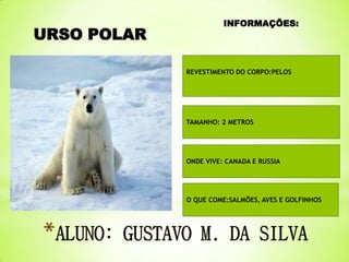 URSO POLAR

INFORMAÇÕES:

REVESTIMENTO DO CORPO:PELOS

TAMANHO: 2 METROS

ONDE VIVE: CANADA E RUSSIA

O QUE COME:SALMÕES, AVES E GOLFINHOS

 