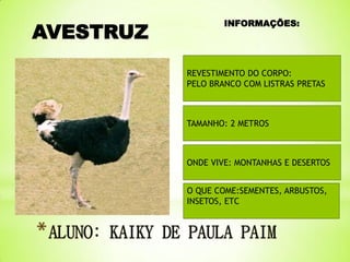 AVESTRUZ

INFORMAÇÕES:

REVESTIMENTO DO CORPO:
PELO BRANCO COM LISTRAS PRETAS

TAMANHO: 2 METROS

ONDE VIVE: MONTANHAS E DESERTOS

O QUE COME:SEMENTES, ARBUSTOS,
INSETOS, ETC

 