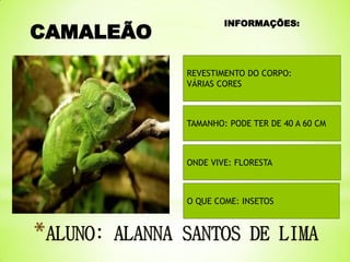CAMALEÃO

INFORMAÇÕES:

REVESTIMENTO DO CORPO:
VÁRIAS CORES

TAMANHO: PODE TER DE 40 A 60 CM

ONDE VIVE: FLORESTA

O QUE COME: INSETOS

 