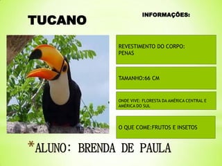 TUCANO

INFORMAÇÕES:

REVESTIMENTO DO CORPO:
PENAS

TAMANHO:66 CM

ONDE VIVE: FLORESTA DA AMÉRICA CENTRAL E
AMÉRICA DO SUL

O QUE COME:FRUTOS E INSETOS

 
