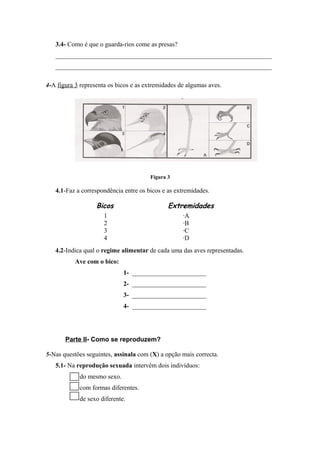 3.4- Como é que o guarda-rios come as presas?
___________________________________________________________________
___________________________________________________________________
4-A figura 3 representa os bicos e as extremidades de algumas aves.
Figura 3
4.1-Faz a correspondência entre os bicos e as extremidades.
Bicos Extremidades
1 ·A
2 ·B
3 ·C
4 ·D
4.2-Indica qual o regime alimentar de cada uma das aves representadas.
Ave com o bico:
1- _______________________
2- _______________________
3- _______________________
4- _______________________
Parte II- Como se reproduzem?
5-Nas questões seguintes, assinala com (X) a opção mais correcta.
5.1- Na reprodução sexuada intervêm dois indivíduos:
do mesmo sexo.
com formas diferentes.
de sexo diferente.
 