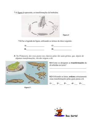 7-A figura 4 representa, as transformações da borboleta.
Figura 4
7.1-Faz a legenda da figura, utilizando os termos da chave seguinte.
A-__________________ C-__________________
B-__________________ D-__________________
8- Na Primavera, dos ovos postos nos charcos pelas rãs saem girinos, que, depois de
algumas transformações, vão dar origem a rãs.
8.1-Como se designam as transformações da
rã referidas no texto?
_____________________________________
_____________________________________
8.2-Utilizando as letras, ordena correctamente
essas transformações pelas quais passa a rã.
1º- ___ 2º- ___ 3º- ___ 4º- ___ 5º- ___
Figura 5
Boa Sorte!
 