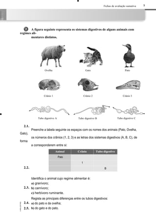 Fichas de avaliação sumativa
A figura seguinte representa os sistemas digestivos de alguns animais com
regimes ali-
mentares distintos.
Ovelha
Crânio 1
Tubo digestivo A
Preenche a tabela seguinte os espaços com os nomes dos animais (Pato, Ovelha,
Gato),
os números dos crânios (1, 2, 3) e as letras dos sistemas digestivos (A, B, C), de
forma
a corresponderem entre si:
Animal Crânio Tubo digestivo
Pato
1
B
Identifica o animal cujo regime alimentar é:
a) granívoro;
b) carnívoro;
c) herbívoro ruminante.
Regista as principais diferenças entre os tubos digestivos:
a) do pato e da ovelha;
b) do gato e do pato.
7
2
2.1.
2.2.
2.3.
2.4.
2.5.
Gato
Crânio 2
Tubo digestivo B
Pato
Crânio 3
Tubo digestivo C
 