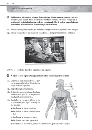CSI 644
©AREALEDITORES
Ficha de avaliação sumativa 1B
A figura ao lado representa esquematicamente o sistema digestivo humano.
1.1. Ordena os números relativos ao per-
curso realizado pelos alimentos ao
longo do tubo digestivo.
1.2. Legenda as glândulas anexas.
1.3. A digestão começa na boca. Explica o
motivo pelo qual é tão importante
mastigar bem os alimentos.
1.4. Estabelece a correspondência entre
o(s) número(s) da figura e as seguin-
tes funções:
a) local onde se forma o quimo;
b) local onde se forma o bolo alimen-
tar;
c) local onde se formam as fezes;
d) local onde atua o suco gástrico;
e) local onde os nutrientes, depois de simplificados, passam para o sangue.
1
GRUPO II – Sistema digestivo e processo de digestão
1
2
3
4
5
7
8
9
6
Infelizmente, são comuns os casos de toxinfeções alimentares nas cantinas e em res-
taurantes, que causam dores abdominais, vómitos e diarreias em várias pessoas em si-
multâneo. A toxinfeção alimentar pode ser causada pela falta de higiene na confeção das
refeições ou pelo mau estado de conservação dos alimentos.
4.1. Indica duas regras de higiene que devem ser cumpridas quando se prepara uma refeição.
4.2. Refere dois cuidados que se devem considerar ao comprar um alimento embalado.
4
AECSI6DP_AVA_F03_20101687_4P_20101687_AVAL_P033_048 11/03/30 16:32 Page 44
 