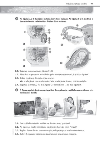 25
©AREALEDITORES
Fichas de avaliação sumativa
2
1 3
6
4
5
7
9
10
8
As figuras A e B ilustram o sistema reprodutor humano. As figuras C e D mostram o
desenvolvimento embrionário e fetal no útero materno.
2
II
Y
Z
I
X
III
1
3
2
3.1. Que cuidados deverá a mulher ter durante a sua gravidez?
3.2. Ao nascer, é muito importante o primeiro choro do bebé. Porquê?
3.3. Explica de que forma a amamentação pode proteger o bebé contra doenças.
3.4. Refere 5 cuidados básicos que deve ter com uma criança pequena.
A
C
D
B
2.1. Legenda os números das figuras A e B.
2.2. Identifica os processos assinalados pelos números romanos I, II e III da figura C.
2.3. Indica o número do órgão onde ocorre:
a) a produção de espermatozoides; b) a produção de óvulos; c) a fecundação.
2.4. Legenda as letras X, Y e Z da figura C e os números 1, 2 e 3 da figura D.
A figura seguinte ilustra uma etapa final do nascimento e cuidados essenciais nos pri-
meiros anos de vida.
3
AECSI6DP_AVA_F02_20101687_4P_20101687_AVAL_P017_032 11/03/30 16:29 Page 25
 