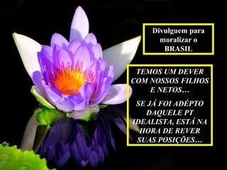 Divulguem para
      moralizar o
       BRASIL


 TEMOS UM DEVER
COM NOSSOS FILHOS
    E NETOS…
 SE JÁ FOI ADÉPTO
   DAQUELE PT
IDEALISTA, ESTÁ NA
  HORA DE REVER
 SUAS POSIÇÕES…
 