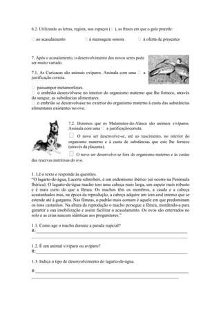 6.2. Utilizando as letras, regista, nos espaços (), as frases em que o galo procede:

ao acasalamento                  à mensagem sonora            à oferta de presentes



7. Após o acasalamento, o desenvolvimento dos novos seres pode
ser muito variado.

7.1. As Curicacas são animais ovíparos. Assinala com uma  a
justificação correta.

 passampor metamorfoses.
 o embrião desenvolve no interior do organismo materno que lhe fornece, através
                         -se
do sangue, as substâncias alimentares.
 o embrião se desenvolve no exterior do organismo materno à custa das substâncias
                           -se
alimentares existentes no ovo.


                      7.2. Dizemos que os Malamutes-do-Alasca são animais vivíparos.
                      Assinala com uma  a justificaçãocorreta.
                       O novo ser desenvolve-se, até ao nascimento, no interior do
                      organismo materno e à custa de substâncias que este lhe fornece
                      (através da placenta).
                       O novo ser desenvolve-se fora do organismo materno e às custas
das reservas nutritivas do ovo.


1. Lê o texto e responde às questões.
“O lagarto-de-água, Lacerta schreiberi, é um endemismo ibérico (só ocorre na Península
Ibérica). O lagarto-de-água macho tem uma cabeça mais larga, um aspeto mais robusto
e é mais curto do que a fêmea. Os machos têm os membros, a cauda e a cabeça
acastanhados mas, na época da reprodução, a cabeça adquire um tom azul intenso que se
estende até à garganta. Nas fêmeas, o padrão mais comum é aquele em que predominam
os tons castanhos. Na altura da reprodução o macho persegue a fêmea, mordendo-a para
garantir a sua imobilização e assim facilitar o acasalamento. Os ovos são enterrados no
solo e as crias nascem idênticas aos progenitores.”

1.1. Como age o macho durante a parada nupcial?
R:____________________________________________________________________
______________________________________________________________________

1.2. É um animal vivíparo ou ovíparo?
R:____________________________________________________________________

1.3. Indica o tipo de desenvolvimento do lagarto-de-água.

R:___________________________________________________________________________
________________________________________________________________________
 