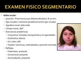 Globo ocular: posición : Prominencia por delante del plano  8-10 mm. Ejes visuales: mantiene paralelismo entre ejes visuales Agudeza visual: adecuada Campo visual: 180° Estructuras anatómicas: Conjuntiva: húmeda, transparente y sin opacidades Esclerótica: blanca Iris: color café Pupilas: isocóricas, redondeadas y posición centrada Reflejos: Fotomotor: presente Consensual: presente Acomodación: presente 