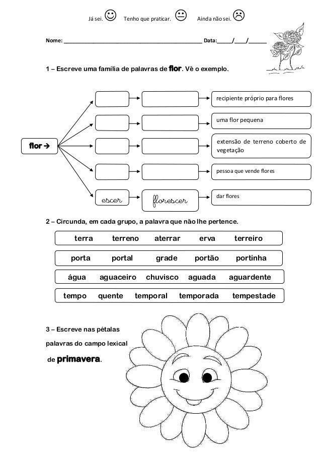 Fichade2ano gramatica problemas diagrama de venn 
