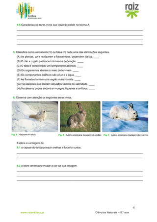 4
www.raizeditora.pt Ciências Naturais – 8.º ano
Fig. 3 – Raposa-do-ártico. Fig. 4 – Lebre-americana (pelagem de verão). Fig. 5 – Lebre-americana (pelagem de inverno).
4.5 Caracteriza os seres vivos que deverão existir no bioma A.
______________________________________________________________________________________
______________________________________________________________________________________
______________________________________________________________________________________
______________________________________________________________________________________
5. Classifica como verdadeira (V) ou falsa (F) cada uma das afirmações seguintes.
(A) As plantas, para realizarem a fotossíntese, dependem da luz. ____
(B) O cão e o gato pertencem à mesma população. ____
(C) O solo é considerado um componente abiótico. ____
(D) Os organismos alteram o meio onde vivem. ____
(E) Os componentes edáficos são a luz e a água. ____
(F) As florestas tornam uma região mais húmida. ____
(G) Há espécies que toleram elevados valores de salinidade. ____
(H) No deserto podes encontrar musgos, líquenes e anfíbios. ____
6. Observa com atenção os seguintes seres vivos.
Explica a vantagem de:
6.1 a raposa-do-ártico possuir orelhas e focinho curtos.
______________________________________________________________________________________
______________________________________________________________________________________
6.2 a lebre-americana mudar a cor da sua pelagem.
______________________________________________________________________________________
______________________________________________________________________________________
______________________________________________________________________________________
 