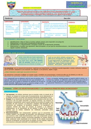 CIENCIA Y TECNOLOGÍA
COMPETENCIA:
Explica el mundo físico
basándose en
conocimientos sobre
los seres vivos, materia
y energía,
biodiversidad, Tierra y
Universo.
CAPACIDADES:
 Comprende y usa
conocimientos sobre los seres
vivos, materia y energía,
biodiversidad, Tierra y
universo.
 Evalúa las implicancias del
saber y del quehacer científico
y tecnológico.
PROPÓSITO:
 Explica que los neurotransmisores y las
hormonas son sustancias químicas que
permiten regular distintas funciones en
el organismo como la regulación de las
emociones.
RETO:
 Explicar ¿Cómo los neurotransmisores y
las hormonas permiten regular
emociones?
EVIDENCIA:
Gráfico que represente ideas
principales y el por qué los
neurotransmisores y las
hormonas permiten regular
emociones.
ACTIVIDADES A REALIZAR:
1. Identificaremos ideas en base a nuestros saberes previos para responder una pregunta.
2. Elaboraremos un plan para la búsqueda de información.
3. Identificaremos y relacionaremos conceptos a partir de la información brindada.
4. Elaboraremos un gráfico que represente ideas principales y el por qué los neurotransmisores y las hormonas permiten
regular nuestras emociones.
EXPLORAMOS
Jaime, estoy feliz por haber capturado
5 Pokemones en el parque, pero creo
que papá tiene razón. ¡No debimos
salir sin permiso! Bueno ya lo veré
después que me levanten el castigo.
¡Luis!, yo me siento molesto, porque nos
pidió que le entreguemos los celulares, con
los que capturamos los Pokemones como
castigo, ¡Ahora ya no podré saber cuántos
Pokemones Capturé hasta la próxima
semana!... No es justo… quiero llorar
Jaime, se muestra molesto porque su papá le pidió el celular y se
siente muy molesto, no reflexiona sobre los peligros que corría en
la calle, al salir sin permiso, solo piensa en que no podrá seguir
capturando Pokemones y no podrá ver cuántos Pokemones tiene.
Luis, comprendió que no debieron salir de casa sin permiso para
capturar Pokemones, se dio cuenta del error que cometieron y le
pareció justo que su padre le solicitará los celulares con los que se
habían distraído. Reflexionó por qué su papá los castigó y se dio
cuenta que en la calle podían correr peligro.
Las emociones son un conjunto de reacciones orgánicas que experimenta un individuo cuando responden a ciertos estímulos externos
que le permiten adaptarse a una situación con respecto a una persona, objeto o lugar.
¿CÓMO PODEMOS SABER QUÉ ALGUIEN ESTÁ FELIZ?
Las emociones a menudo se reflejan en nuestro rostro y también nos comunicamos a través de ellas con los demás y es más las
emociones son reacciones químicas en nuestro cerebro que causan reacciones físicas en ocasiones visibles.
CONCEPTUALIZAMOS:
 Las neuronas: son células nerviosas que se conectan entre sí a través de la
sinapsis. La sinapsis es la clave para el procesamiento de la información en
el sistema nervioso y es cómo una neurona transporta información a otra.
 Sinapsis: Es un mecanismo de comunicación que se produce entre dos o más
neuronas a fin de poder transmitir un impulso nervioso. Las sinapsis se
establecen normalmente entre la parte terminal de un axón y el cuerpo o las
dendritas de otra neurona. La estructura sináptica está formada por la
membrana pre sináptica, la hendidura sináptica y la membrana pos
sináptica. Existen dos tipos de sinapsis, la química y la eléctrica,
enfatizaremos en la transmisión de las señales a través de la sinapsis
química que se realiza mediante las moléculas conocidas como
neurotransmisores.
 Neurotransmisores: Son componentes químicos que se encuentran en
nuestro cerebro y se encargan de transmitir una información concreta de
una neurona a otra. Cada neurotransmisor tiene una composición química
distinta que les permite realizar una función específica en nuestro cerebro.
Estas sustancias están localizadas en el interior de las células neuronales
hasta en el momento en el que ocurre la sinapsis. En ese instante, viajan de
una neurona a otra para transmitir una información u otra.
APRENDEMOS: ¿CÓMO LOS NEUROTRANSMISORES Y LAS HORMONAS PERMITEN REGULAR EMOCIONES?
SEMANA 23
07setiembre2020
Nombres: Sección:
 