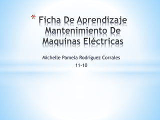 Michelle Pamela Rodríguez Corrales
11-10
*
 