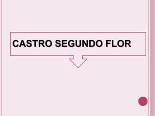 CASTRO SEGUNDO FLOR 
 
