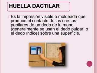 HUELLA DACTILAR 
Es la impresión visible o moldeada que 
produce el contacto de las crestas 
papilares de un dedo de la mano 
(generalmente se usan el dedo pulgar o 
el dedo índice) sobre una superficie. 
 