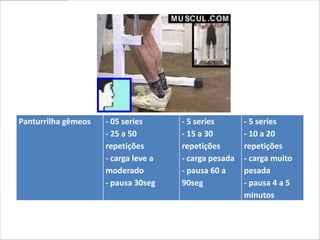 Panturrilha gêmeos   - 05 series      - 5 series       - 5 series
                     - 25 a 50        - 15 a 30        - 10 a 20
                     repetições       repetições       repetições
                     - carga leve a   - carga pesada   - carga muito
                     moderado         - pausa 60 a     pesada
                     - pausa 30seg    90seg            - pausa 4 a 5
                                                       minutos
 
